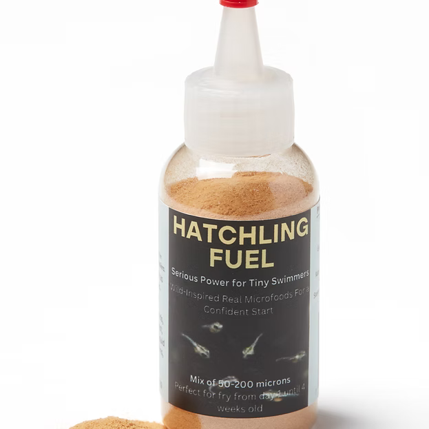 Hatchling Fuel - Kat's Aquatics